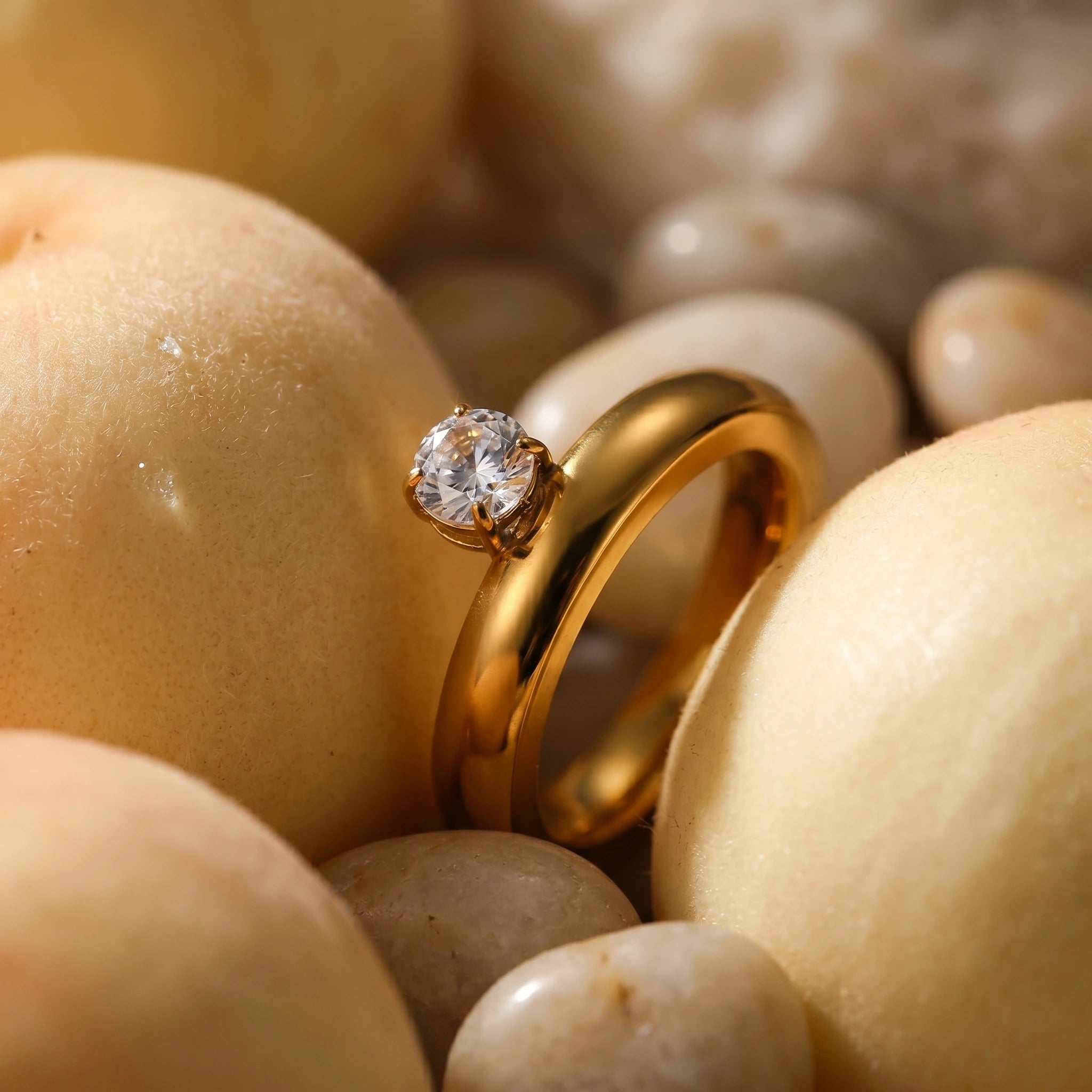 Round Solitaire Chunky Dome Band Ring – 18K PVD Gold Plated